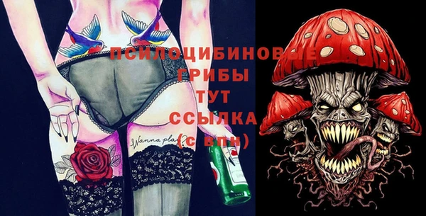 крисы Бугульма