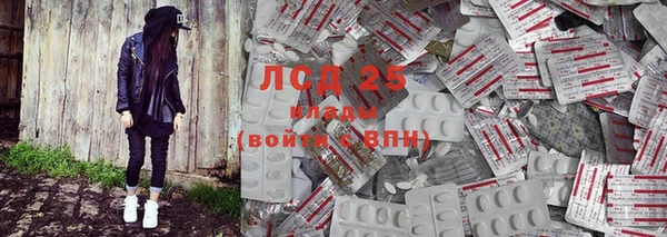 крисы Бугульма