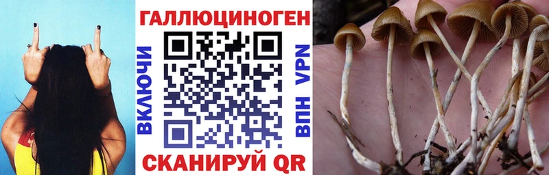 Галлюциногенные грибы мухоморы  дарк нет формула  Буйнакск 