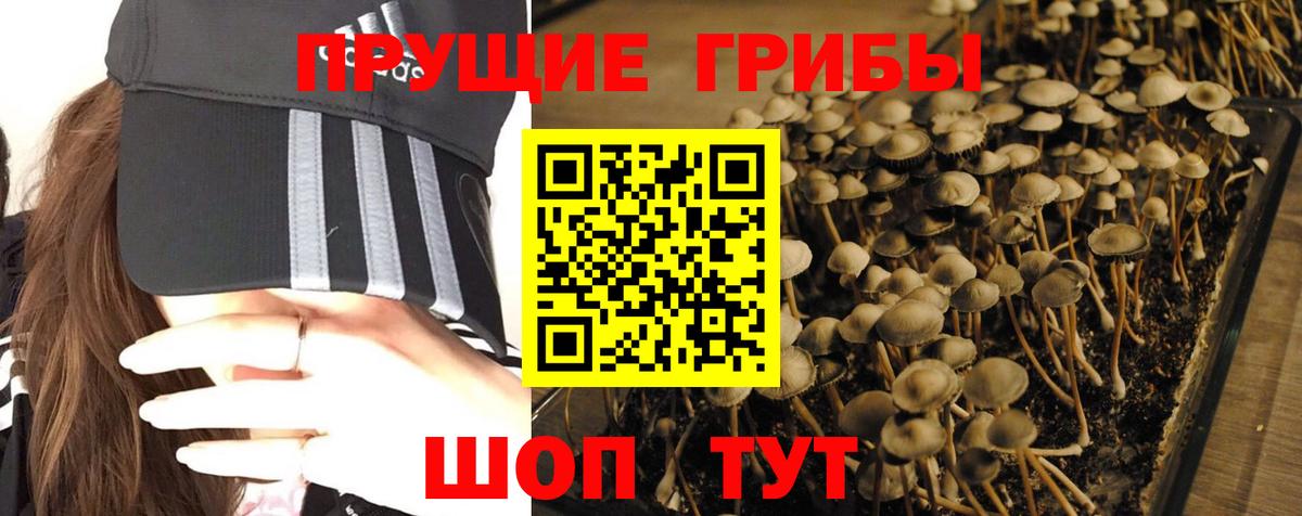 Псилоцибиновые грибы MAGIC MUSHROOMS Буйнакск
