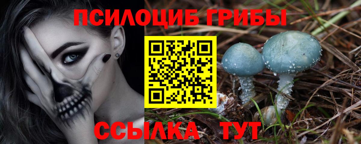 Галлюциногенные грибы Psilocybine cubensis  Вход с VPN  Буйнакск 